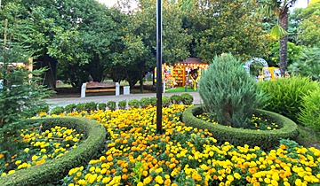 Озеленение Парка культуры и отдыха