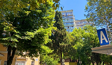 Озеленение улицы Победы