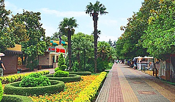 Озеленение Парка культуры и отдыха
